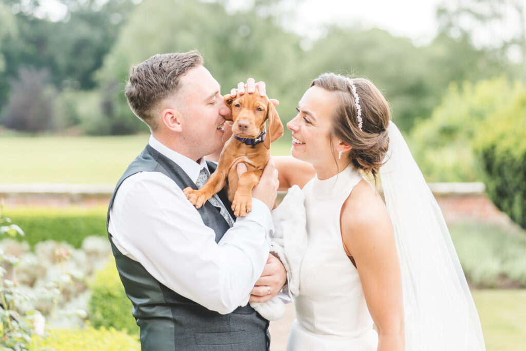 bride and groom with vizsla puppy on their wedding day